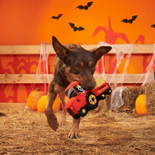 Load image into Gallery viewer, BARK Halloween Oldest McDonald Dog Toy - Plush Skeleton Farmer and Tractor Squeaky Toy

