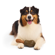 Load image into Gallery viewer, BARK Harry Potter Nimbus 2000 Dog Toy - Durable Rubber Broomstick Tug and Gnaw Toy
