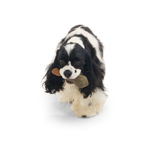 Load image into Gallery viewer, BARK Harry Potter Nimbus 2000 Dog Toy - Durable Rubber Broomstick Tug and Gnaw Toy
