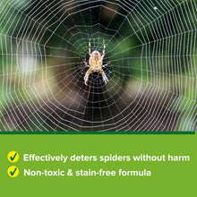 Load image into Gallery viewer, Acana Natural Spider Stopper Spray 500ml
