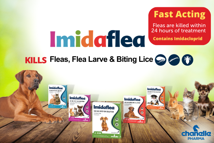 Kill Fleas With Imidaflea