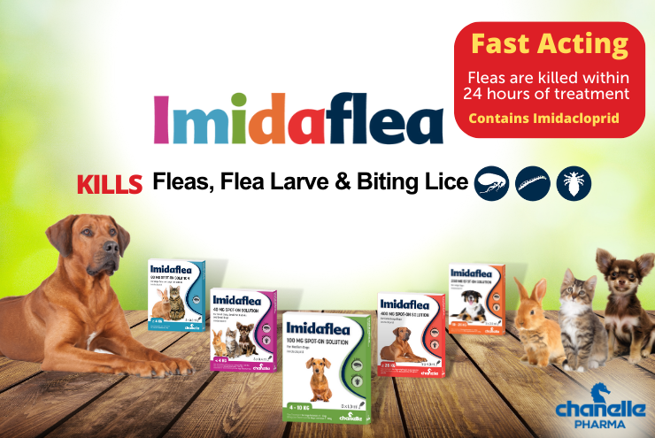 Medicines 4 deals pets