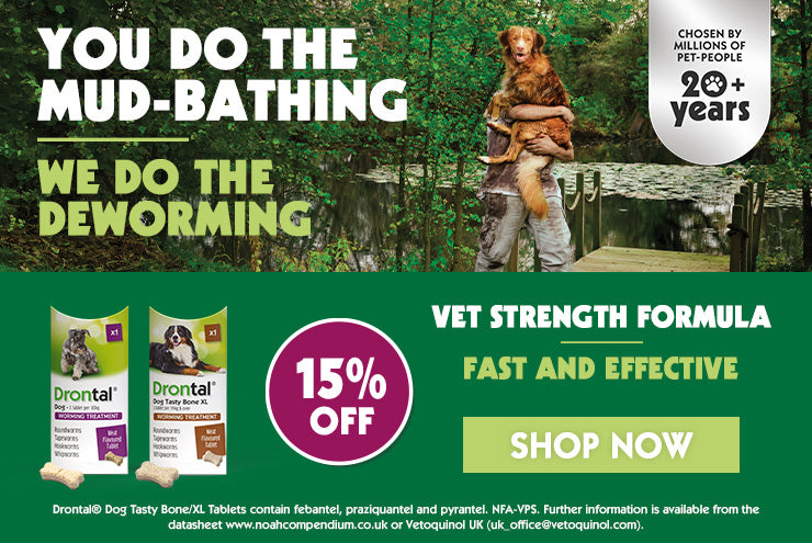 Drontal 15% Off