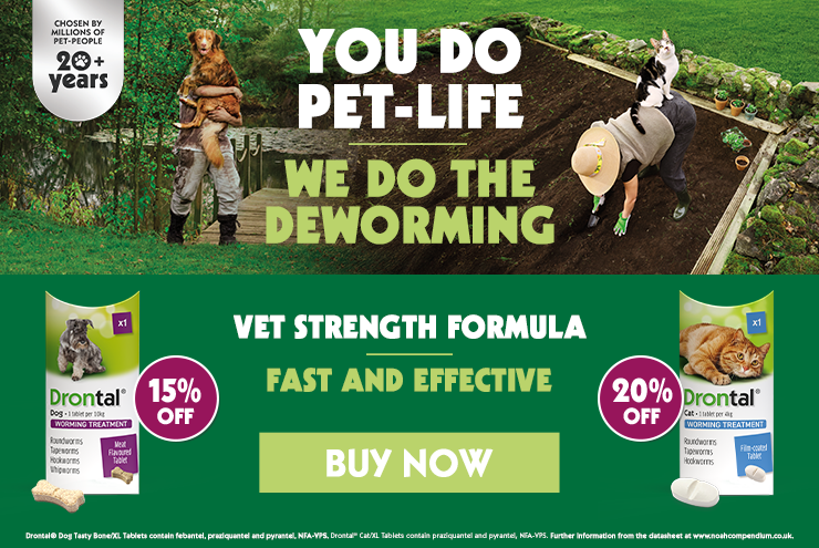Drontal 15% Off