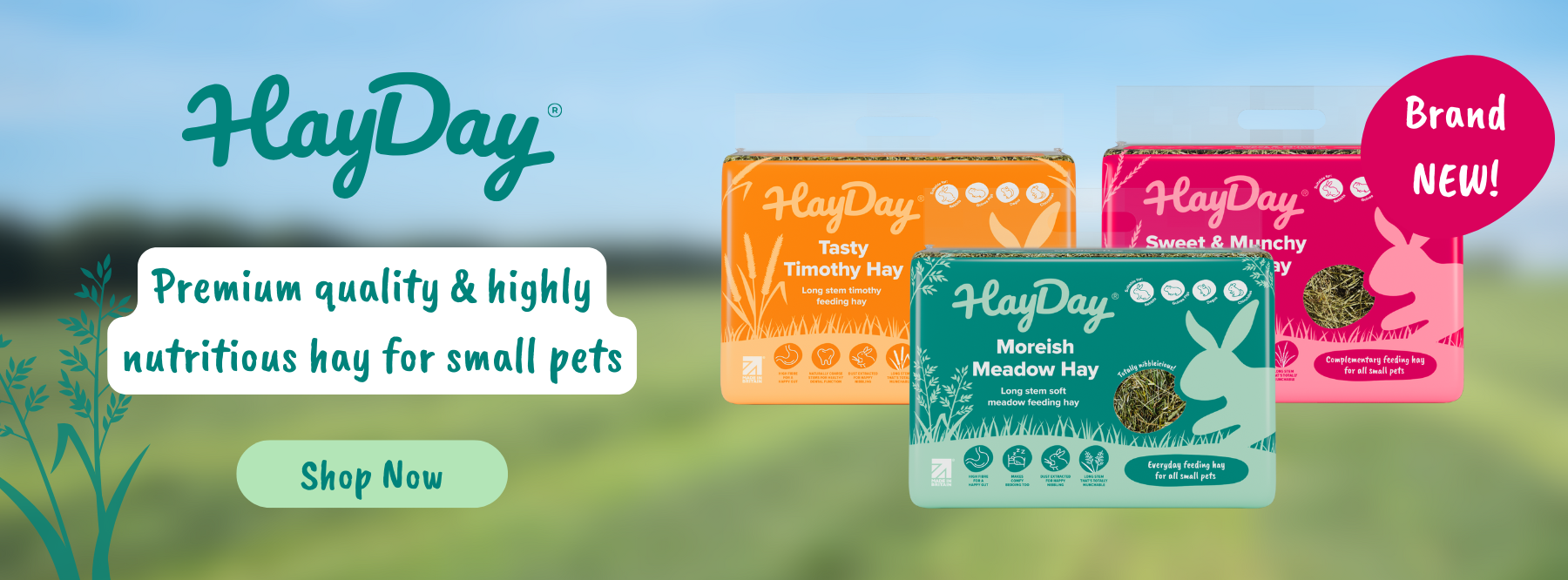 Direct4Pet HayDay Launch!