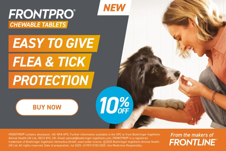 FrontPro 10% Promo