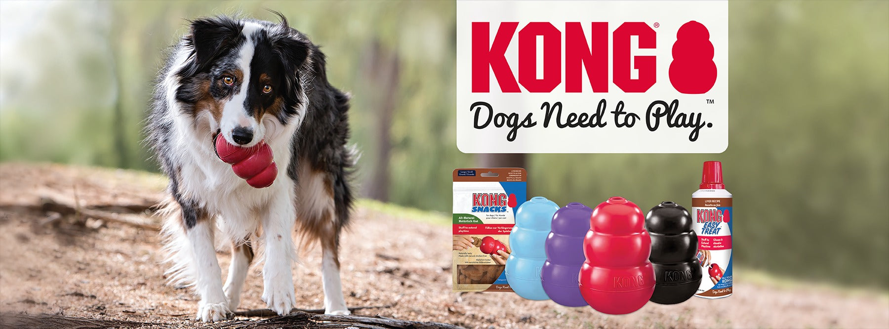 Dogs Need To Play - Give Them KONG