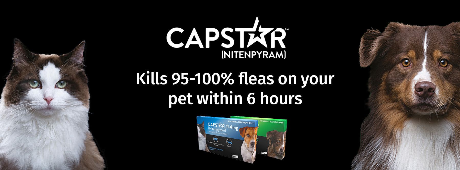 Capstar Engine Capstar | Fast-Acting Flea Tablets | Direct4Pet