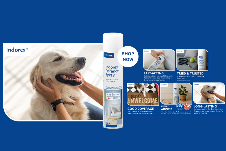 Indorex Banner