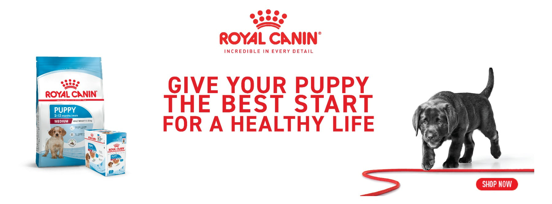 Royal Canin Promo