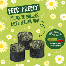 Load image into Gallery viewer, Burgess Excel Meadow Munchies For Rabbits, Guinea Pigs &amp; Chinchillas 1kg
