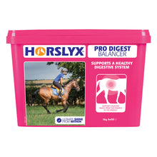 Load image into Gallery viewer, Horslyx Balancer Lick 5kg- Various 
