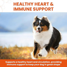 Load image into Gallery viewer, Vetzyme Garlic Health Supplement Tablets 240 Tablets

