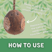 Load image into Gallery viewer, Copdock Mill Whole Coconut With 3 Holes Original 350g
