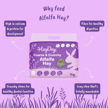 Load image into Gallery viewer, HayDay Coarse and Crunchy Alfalfa Hay
