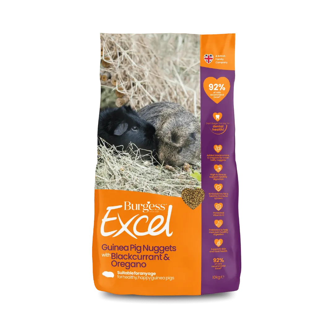Burgess Excel Guinea Pig Nuggets Blackcurrant & Oregano 10kg
