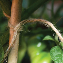 Load image into Gallery viewer, Growers Choice Biodegradable Natural Jute Twine 100g / 55m
