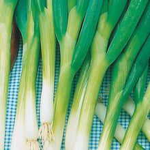 Load image into Gallery viewer, Unwins Asian Stair Fry Seed Bundle
