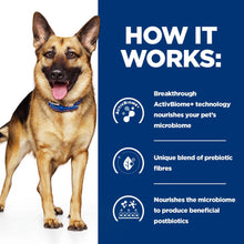 Load image into Gallery viewer, Hill’s Prescription Diet Gastrointestinal Biome Dry Dog Food with Chicken 10kg Bag
