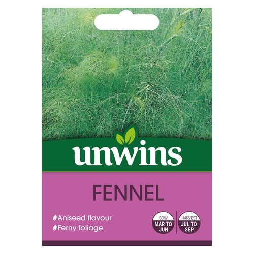 Herb Fennel
