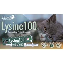 Load image into Gallery viewer, Mervue Lysine 100 Paste For Cats &amp; Kittens - Supporting Feline Immunity
