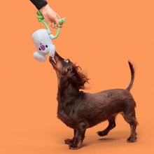 Load image into Gallery viewer, Bark Koa Koala Dog Toy
