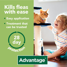 Load image into Gallery viewer, Advantage Spot On Flea Treatment For Cats, Dogs &amp; Rabbits - 4 Pipette Packs
