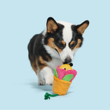 Load image into Gallery viewer, Bark Pollen Nate Dog Toy
