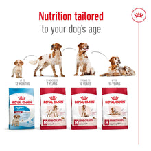 Load image into Gallery viewer, Royal Canin Medium Adult 7+ Dry Dog Food 1 x 15Kg
