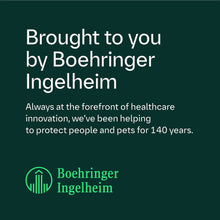 Load image into Gallery viewer, FRONTPRO® Chewable Tablets Flea &amp; Tick Treatment for Dogs
