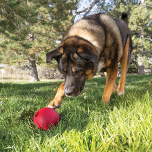 Load image into Gallery viewer, KONG Ball Large Dog Toy
