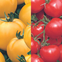 Load image into Gallery viewer, Tomato Classic Collection Pack
