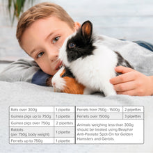 Load image into Gallery viewer, Beaphar Anti-Parasite Spot On for Rabbit and Guinea Pigs 4 Pipettes
