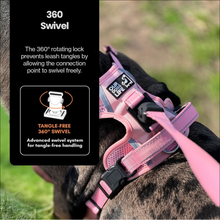 Load image into Gallery viewer, Our Dogs Life Magnetic Lock Lead &amp; Harness Set: Black
