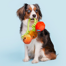 Load image into Gallery viewer, Bark Hairloom Tomatoes Dog Toy
