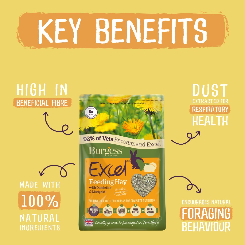 Burgess Excel Feeding Hay With Dandelion & Marigold 1kg