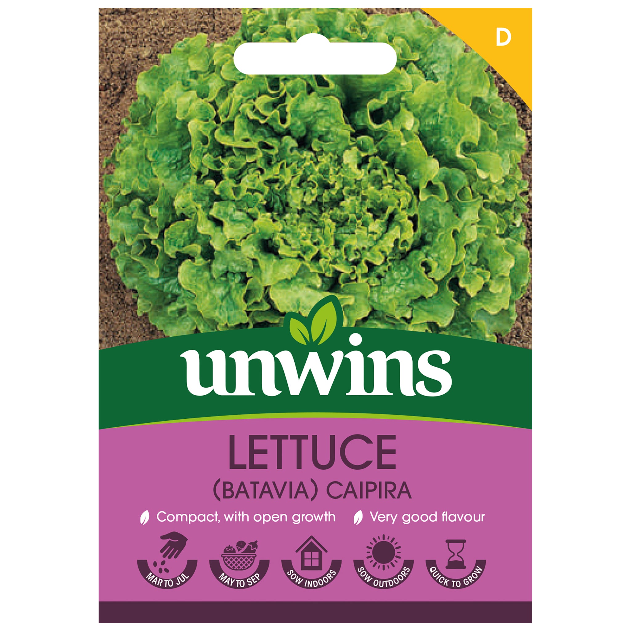 Lettuce (Batavia) Caipira