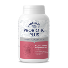 Load image into Gallery viewer, Dorwest Probiotic Plus for Dogs
