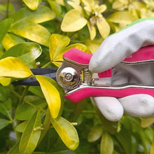Load image into Gallery viewer, Spear &amp; Jackson Pink Garden Snips
