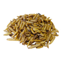 Load image into Gallery viewer, Copdock Mill Calci Boost Grubs Tubs 1 Litre
