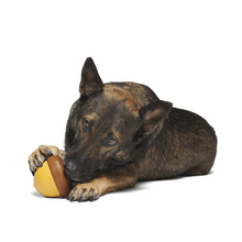Load image into Gallery viewer, Bark Acornucopia Dog Toy
