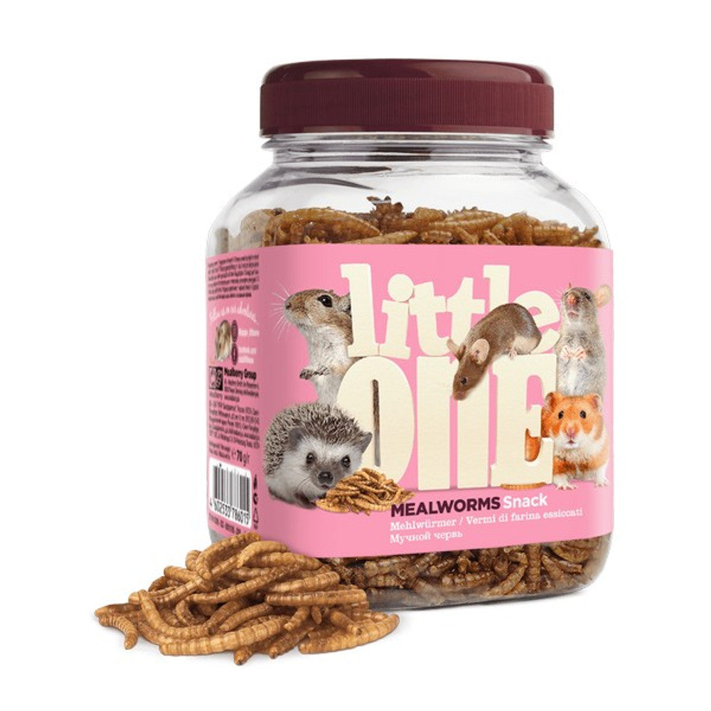 Little One Insect or Mealworms Mix Snack For Omnivores Small Mammals 