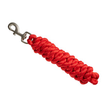 Load image into Gallery viewer, Bitz Basic Lead Rope With Trigger Clip
