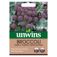 Load image into Gallery viewer, Broccoli Early Purple Sprouting

