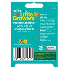 Load image into Gallery viewer, Little Growers Poached Egg Flower Sunnyside
