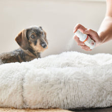 Load image into Gallery viewer, Beaphar CaniComfort™ Dog Calming Spray
