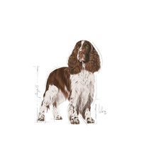 Load image into Gallery viewer, Royal Canin CCN Medium Light Weight Care Dog Food 12kg
