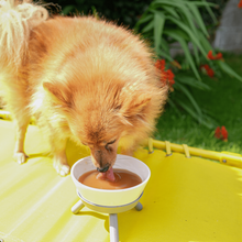 Load image into Gallery viewer, DoggyRade Hydrating Isotonic Fluid Support Drink for Pet Dogs 500ml
