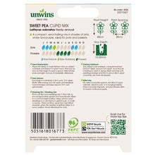 Load image into Gallery viewer, Sweet Pea Cupid Mix
