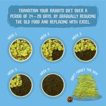 Load image into Gallery viewer, Burgess Excel Rabbit Food Nuggets For Junior &amp; Dwarf Breeds With Mint
